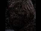 https://image.noelshack.com/fichiers/2016/49/1481045873-50680yy.gif