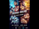 https://image.noelshack.com/fichiers/2016/49/1481208671-joshuamolina-boxing-poster-design-large.jpg
