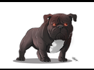 https://image.noelshack.com/fichiers/2016/49/1481391478-cyril-rosa-art-chat-vs-dog-bully-dog-cartel.jpg