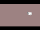 https://image.noelshack.com/fichiers/2016/50/1481669746-anim-pwasson.gif