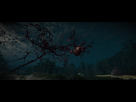 https://image.noelshack.com/fichiers/2016/50/1481837275-the-witcher-3-screenshot-2016-12-15-22-21-14-81.jpg