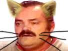 https://image.noelshack.com/fichiers/2016/50/1481843877-risitas-chat2.png