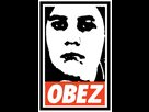 https://image.noelshack.com/fichiers/2016/50/1481858586-obez.jpg