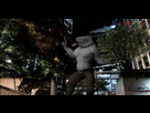 https://image.noelshack.com/fichiers/2016/50/1481997952-capture.png