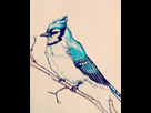 https://image.noelshack.com/fichiers/2016/51/1482338083-tumblr-o6k4e2nnhh1uz8gvto2-500.jpg