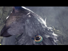 https://image.noelshack.com/fichiers/2016/51/1482446893-the-last-guardian-tm-20161222104133.png