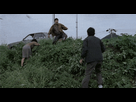 https://image.noelshack.com/fichiers/2016/51/1482517749-tumblr-m2ib1i4imz1rtwo99o1-500.gif