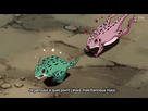 https://image.noelshack.com/fichiers/2016/52/1482903129-shot0164.png