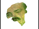 https://image.noelshack.com/fichiers/2016/52/1483078875-risibrocoli.png