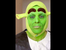 https://image.noelshack.com/fichiers/2016/53/1451686512-predatorshrek.png