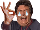 https://image.noelshack.com/fichiers/2017/01/1483401843-1482506221-jpp.png