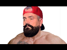 https://image.noelshack.com/fichiers/2017/02/1483958235-stickers-r-gm.jpg