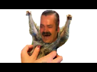 https://image.noelshack.com/fichiers/2017/02/1484052562-1484052543683.png