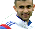 https://image.noelshack.com/fichiers/2017/02/1484079369-1477754637-ghezzal.png