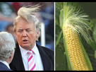 https://www.noelshack.com/2017-02-1484367949-donald-trump-ear-of-corn-look-alike.jpg