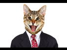 https://image.noelshack.com/minis/2017/02/1484503576-cats-politics-tn.png