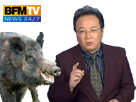 https://image.noelshack.com/minis/2017/03/1484711193-chintok-sanglier-leg0gole.png
