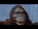 https://image.noelshack.com/fichiers/2017/03/1484766568-king-kong-vs-godzilla-kong.jpg