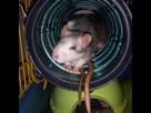 https://image.noelshack.com/minis/2017/03/1484864148-img-20170115-052949.png
