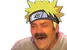 https://image.noelshack.com/fichiers/2017/04/1485176694-image.jpg