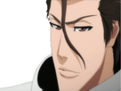 https://image.noelshack.com/fichiers/2017/04/1485192301-aizen.jpg