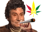 https://image.noelshack.com/fichiers/2017/04/1485278652-canna.jpg