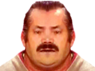 https://image.noelshack.com/fichiers/2017/04/1485298376-risiprout.png