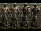 https://image.noelshack.com/fichiers/2017/04/1485348107-furarmors.jpg