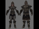 https://image.noelshack.com/fichiers/2017/04/1485349454-skyrim-armloup.jpg