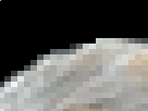 https://image.noelshack.com/fichiers/2017/05/1485781927-3-hhz6zjhm.png
