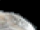 https://image.noelshack.com/fichiers/2017/05/1485781927-4-hhz6zjhm.png
