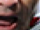 https://image.noelshack.com/fichiers/2017/05/1485781930-22-hhz6zjhm.png