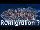 https://image.noelshack.com/fichiers/2017/05/1485870575-remigration.png