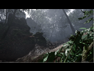 https://image.noelshack.com/fichiers/2017/05/1485984846-bf1-1.png