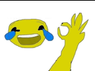 https://image.noelshack.com/minis/2017/05/1486120060-jpptrolol.png