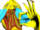 https://image.noelshack.com/minis/2017/05/1486259964-jpp2.png