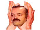 https://image.noelshack.com/fichiers/2017/05/1486327440-risitasmainsinversees.png