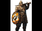 https://image.noelshack.com/fichiers/2017/05/1486327876-fh-heroes-vikings-warlord-ncsa.png