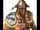 https://image.noelshack.com/fichiers/2017/06/1486393277-1486323152-raider-armor1.png