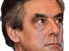 https://image.noelshack.com/fichiers/2017/06/1486394801-fillon7.png