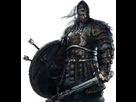 https://image.noelshack.com/fichiers/2017/06/1486396176-faction-stormborn-hero-main.png