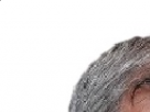 https://image.noelshack.com/fichiers/2017/06/1486417602-9-f5ixs7np.png
