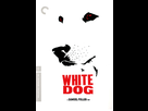 https://image.noelshack.com/fichiers/2017/06/1486417649-white-dog.jpg