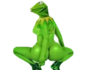 https://image.noelshack.com/fichiers/2017/06/1486469516-kermit-stripteaseuse.png