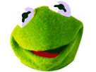 https://image.noelshack.com/fichiers/2017/06/1486476918-kermit-face2.png