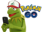 https://image.noelshack.com/fichiers/2017/06/1486507072-kermit-pokemongo.png