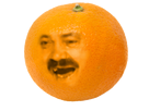 https://image.noelshack.com/fichiers/2017/06/1486583907-1481730306-annoyingrisi.png