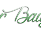https://image.noelshack.com/fichiers/2017/06/1486664245-sb2.png