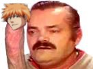 https://image.noelshack.com/fichiers/2017/06/1486676915-ichigo-risiteub.jpg