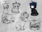 https://image.noelshack.com/fichiers/2017/07/1486940588-mads-cat-c.jpg